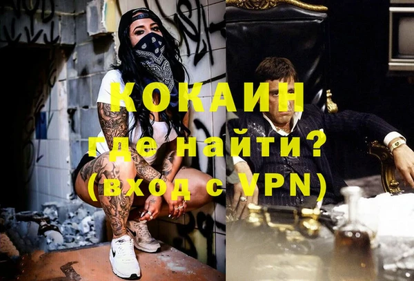 амф Верея