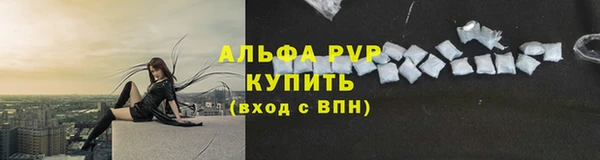 амф Верея