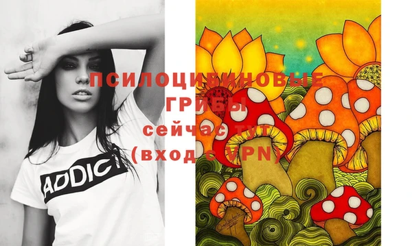 амф Верея