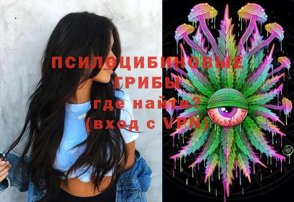 сатива Верхний Тагил