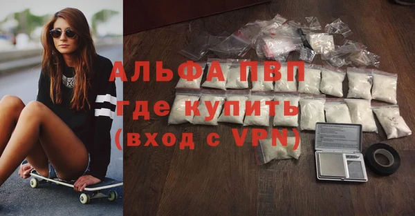 амф Верея