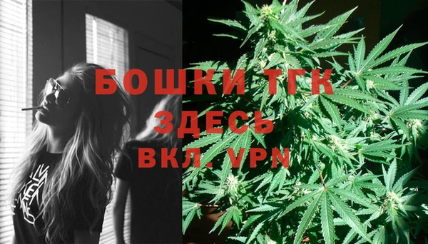 сатива Верхний Тагил