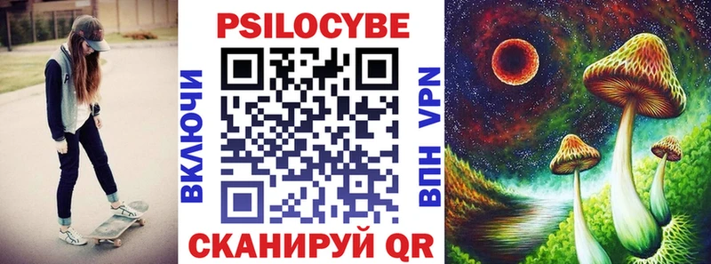 blacksprut как войти  Высоковск  Псилоцибиновые грибы Psilocybine cubensis 